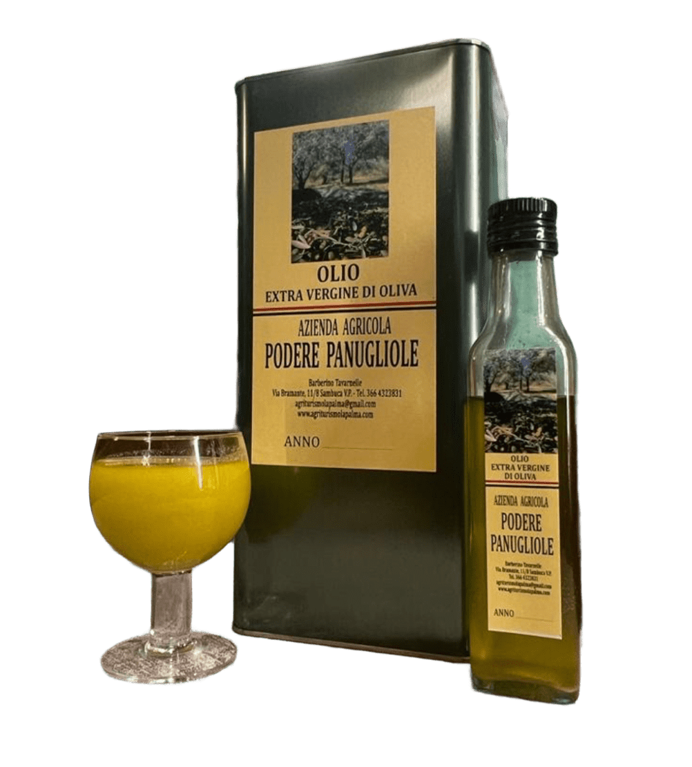 Olio Evo Extravergine di Oliva Toscano 5 litri Latta In Acciaio